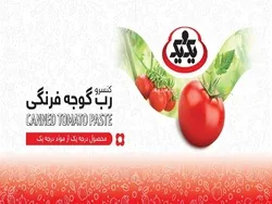 نگاهی به چگونگی کاهش سود عملیاتی  ۳۴درصدی 