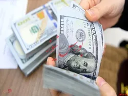 ثبات در نرخ رسمی ۹ ارز/ نرخ ۲۶ ارزافزایش یافت