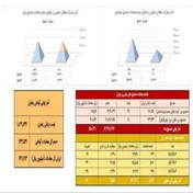 فروش ۱۴۶ کیلوگرم زعفران در بازار آتی بورس کالا