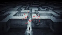 با تعدد ارگان‌ها نمی‌توان ناهماهنگی را از بین برد