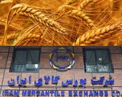 پیشنهاد یارانه ۸۱۴۵ میلیاردی دولت برای نان و مشتقات گندم