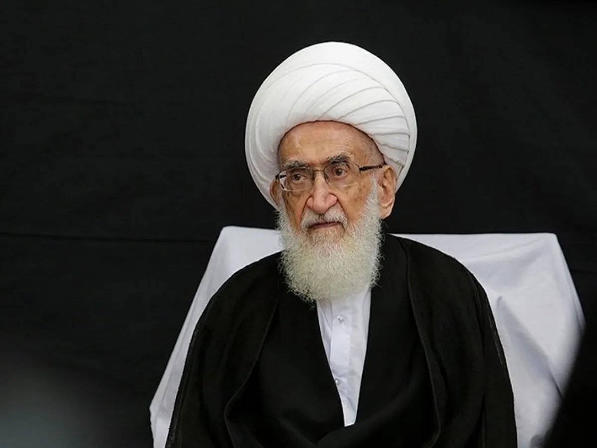 تأکید آیت‌الله نوری‌همدانی بر تسریع در انتخاب رهبری