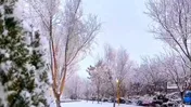 پیش‌بینی بارش برف و باران با ورود سامانه بارشی جدید