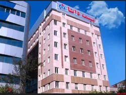 هیات مدیره جدید 