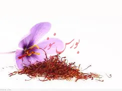 شفافیت عرضه  زعفران در بورس کالا