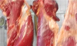 می‌گویند تورم کم شده ولی قیمت ها هر روز گران‌ترمی‌شود!
