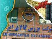 فروش ۲۲۹ هزار تن انواع کالا در تالار‌های مختلف بورس کالا