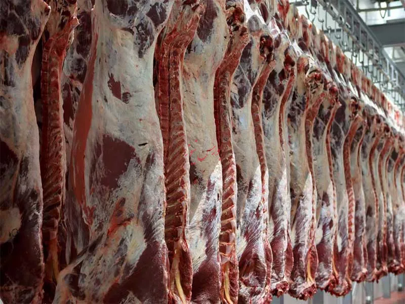 عرضه 63 تن گوشت در استان آذربایجان غربی