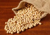 افزایش ۵ برابری صادرات سویای آمریکا به ایران در بحبوحه جنگ تجاری با چین