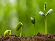 افزایش سرمایه 