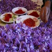 معامله ۱۰۷ کیلوگرم زعفران در بورس آتی کالا به ثبت رسید