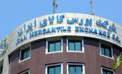 حجم معاملات بورس کالا بیشتر شد