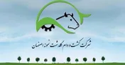 تاثیر افزایش نرخ شیرخام بر سودآوری «زگلدشت»/ تثبیت نرخ شیرخام منوط به یک شرط