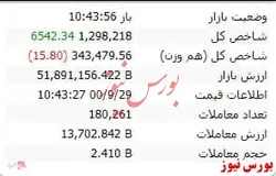 شاخص هم وزن اما با افت اندک منفی است