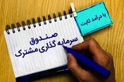 ۱۹ صندوق پذیرای ورود نقدینگی