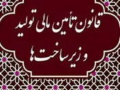 آیین نامه نحوه تاسیس و فعالیت صندوق‌های تضمین بررسی شد