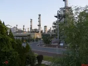 صادرات شیران، سهامداران را شیرین‌کام کرد
