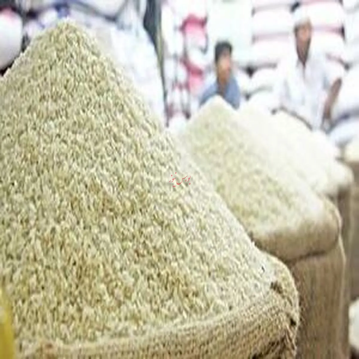 اعلام جدیدترین قیمت‌ برنج در میادین و بازارهای میوه و تره‌بار
