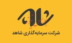 ۴۰۷ درصد افزایش سود خالص 
