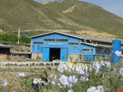 برگزاری مجمع 