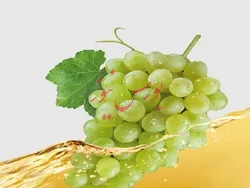 کاهش ۷۷ درصدی سودآوری غشهد
