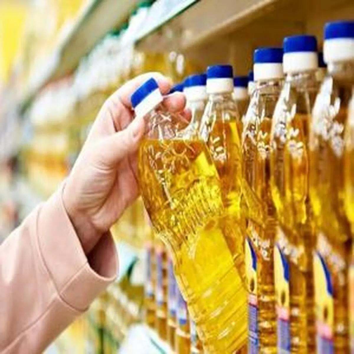 ورود روغن خوراکی با قیمت‌های تازه به بازار