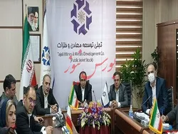 برنامه تجلی برای افزایش سرمایه از محل آورده نقدی/ تمرکز تجلی بر مواد نادر خاکی و لیتیوم