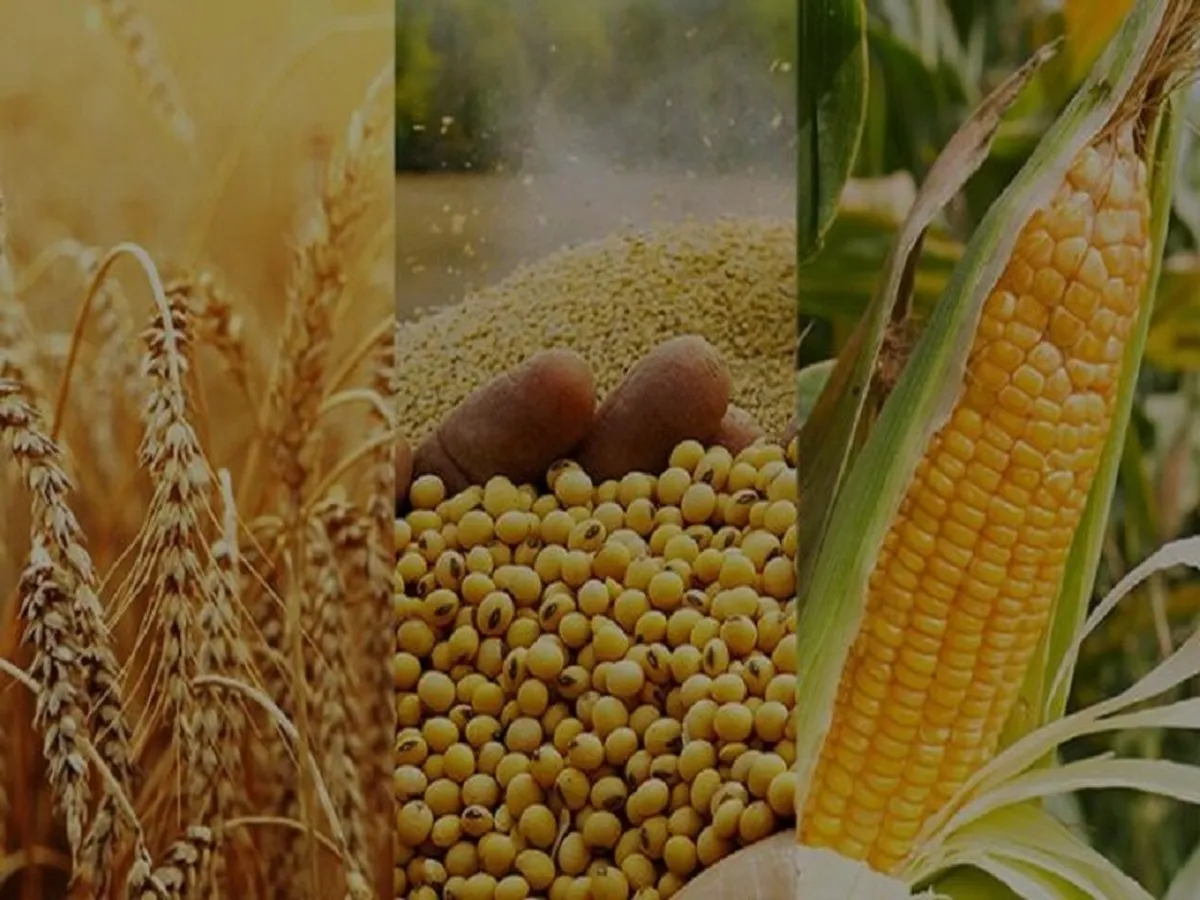عراق، امارات، روسیه سه کشور خریدار محصولات کشاورزی ایران