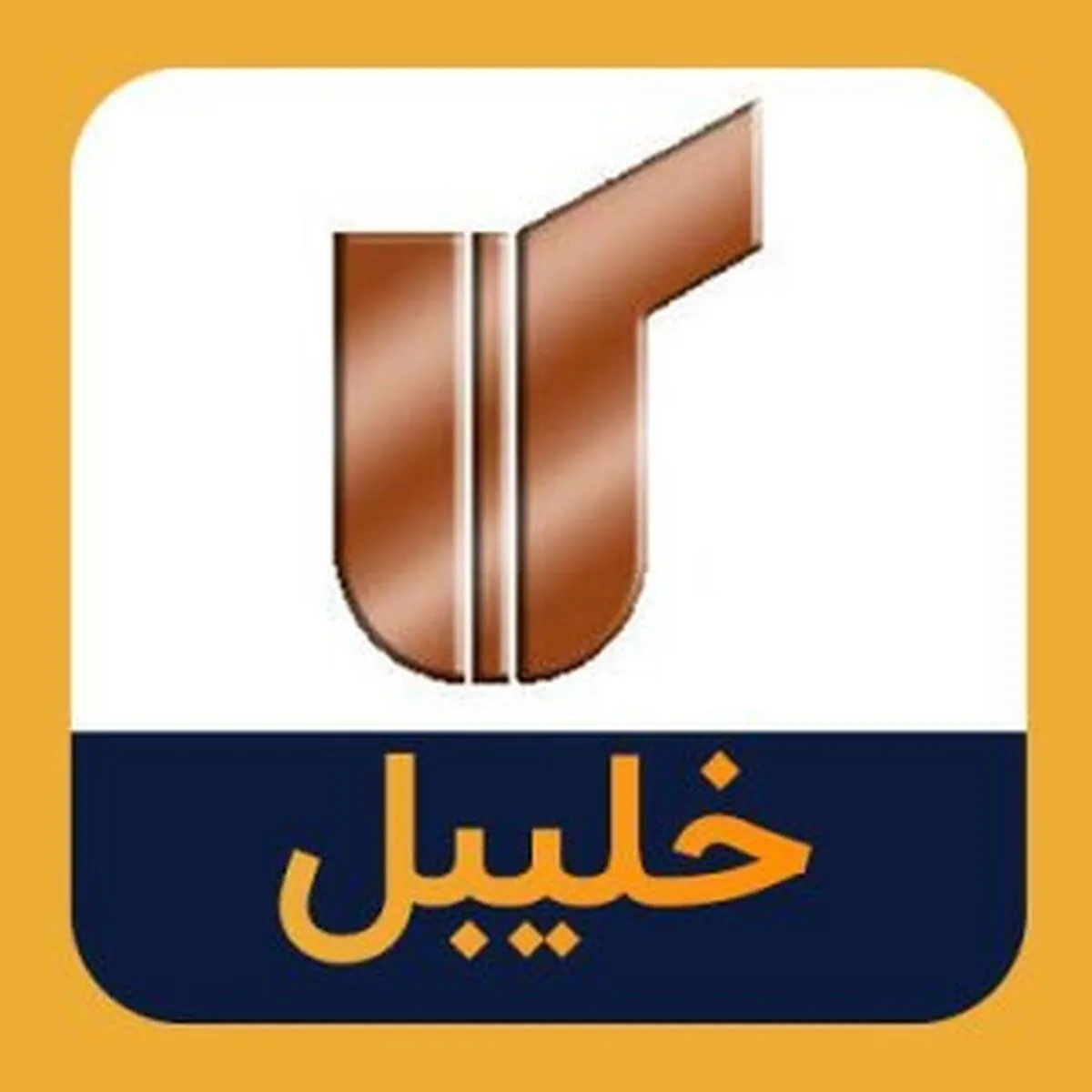 سهامداران 