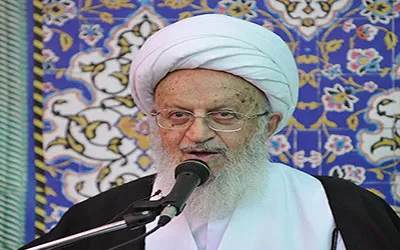 آیت‌الله مکارم‌شیرازی: قشر ثروتمند نباید یارانه بگیرد
