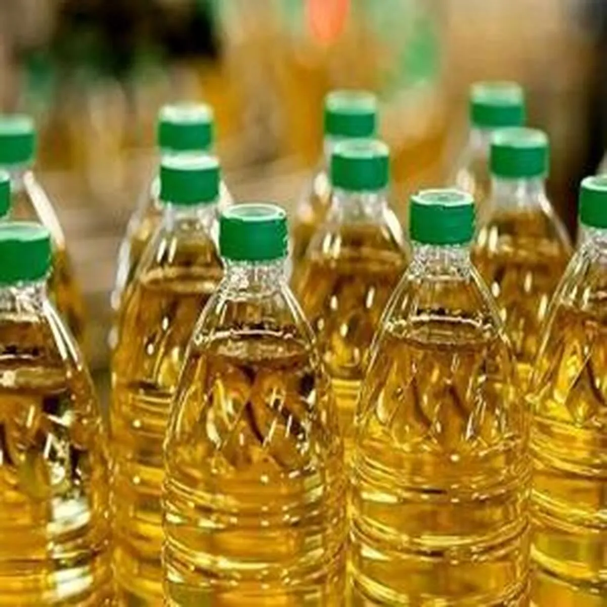 افزایش مجدد قیمت روغن در بازار