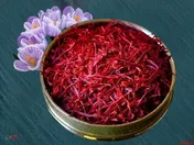 قرارداد اختیار معامله زعفران نگین با سررسید شهریورماه