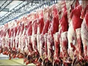 قیمت روز گوشت قرمز - ۲۳ اسفند ۱۴۰۲ + جدول