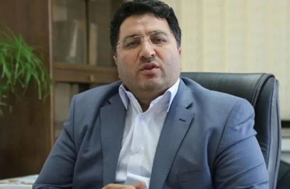 مدیرعامل سازمان حمایت منصوب شد