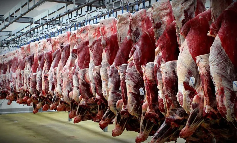رفع نیاز کشور به گوشت گرم گوسفندی با واردات