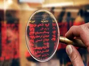 دخالت‌های دولت؛ تهدیدی برای اقتصاد