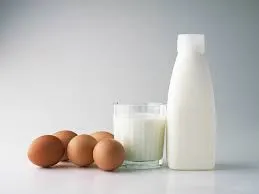 افزایش و کاهش 6درصدی تولید شیر و تخم مرغ