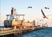 هشتمین عرضه نفت خام سنگین