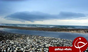 آغاز عمليات پايش دريای خزر و دهانه رودخانه‌های مهم منتهی به آن