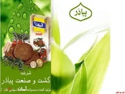 مجمع 