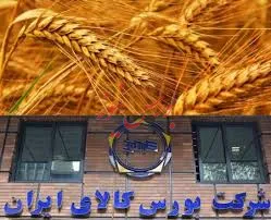 حل مشکل خرید ارزان محصولات در طرح 