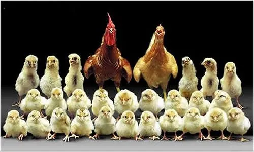 عکس/یکی ازپولدارترین خانواده های ایرانی !