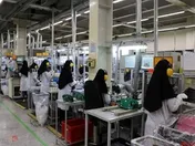 آیا دولت از شرکت‌های حامی اشتغال بانوان پشتیبانی می‌کند