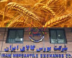 مزایای عرضه محصولات کشاورزی در بورس کالا برای کشاورزان و دولت