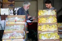 موز ارزان شد/ یاوری، عضو اتحادیه بارفروشان میدان مرکزی میوه و تره بار:

هم اکنون قیمت هر کیلو موز اکوادور در میدان مرکزی ۳۲ هزار تومان و موز هندی ۲۸ تا ۳۰ هزار تومان است.

با افزایش عرضه موز در میدان پیش بینی می‌شود که قیمت به ۲۵ هزار تومان‌کاهش یابد.