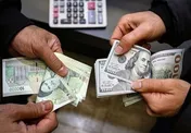 بررسی برخی از پیامد‌ها و آثار افزایش فاصله نرخ دلار آزاد و نیما - تیرماه ۱۴۰۳