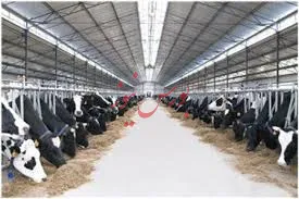 حذف ارز دولتی واردات گوشت/  عرضه گوشت زیر ۹۰ هزار تومان توجیه اقتصادی ندارد