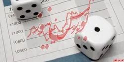 در گروه حمل و نقل فقط 