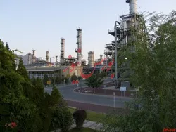 صادرات شیران، سهامداران را شیرین‌کام کرد