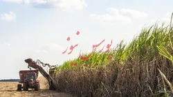 بزرگ‌ترین عرضه بورس در راه است